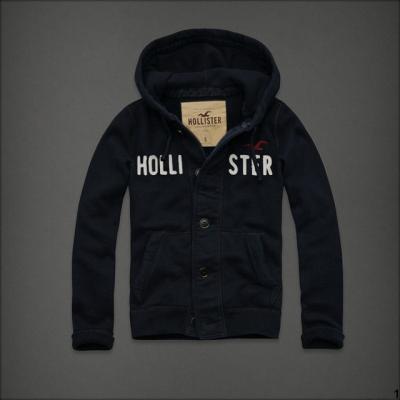 Hollister Men Hoodies-95